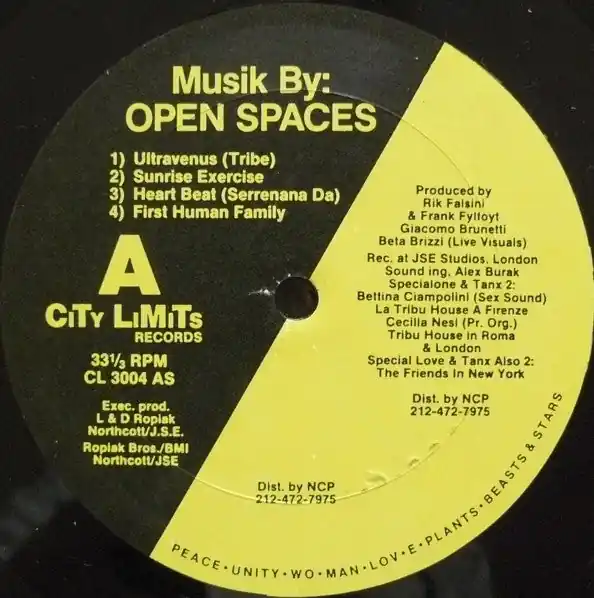 Open Spaces : Musik By: Open Spaces LP (VG / Generic) - Dig Vinyl Genuine