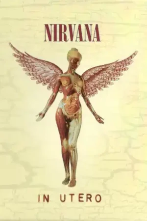 Nirvana : In Utero CD, Album, RE, RM (M / M) - Dig Vinyl Shop Now