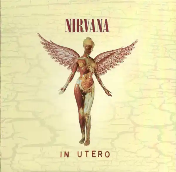 Nirvana : In Utero CD, Album, RE, RM (M / M) - Dig Vinyl Shop Now