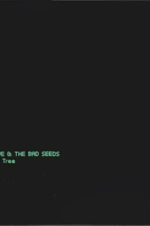 Nick Cave & The Bad Seeds : Skeleton Tree LP, Album (VG+ / VG+) - Dig Vinyl Today Only