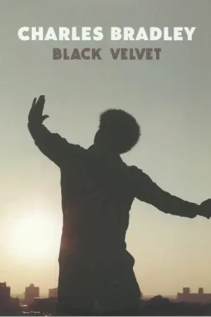 Charles Bradley : Black Velvet LP, Album, Comp (M / M) - Dig Vinyl Professional Grade