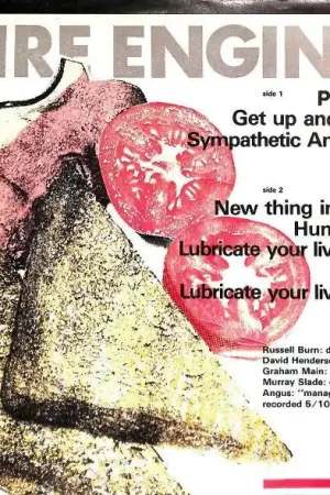 Flash Sale Fire Engines : Lubricate Your Living Room LP, MiniAlbum (NM or M- / VG+) - Dig Vinyl