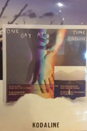 Free Delivery Kodaline : One Day At A Time 2xLP, Album, Dlx (VG+ / VG+) - Dig Vinyl