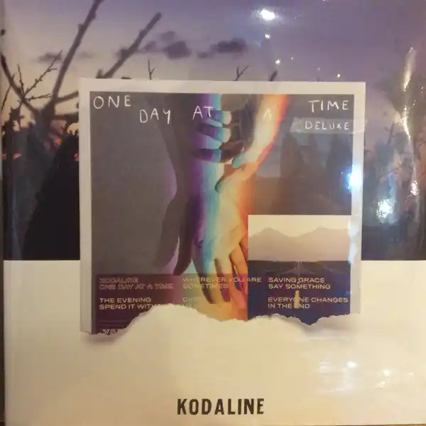 Free Delivery Kodaline : One Day At A Time 2xLP, Album, Dlx (VG+ / VG+) - Dig Vinyl