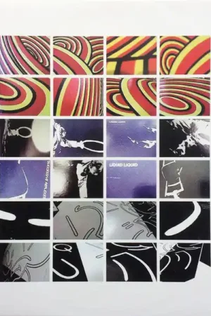 Liquid Liquid : Liquid Liquid 2xLP, Comp (VG+ / VG+) - Dig Vinyl Mega Sale