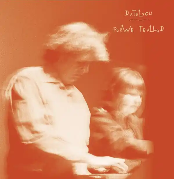 Datblygu : Porwr Trallod LP, Album + CD, Album (VG+ / NM or M-) - Dig Vinyl Deal