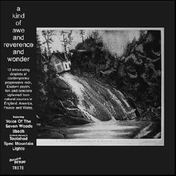 Editor’s Pick Various : A Kind Of Awe And Reverence And Wonder CD, Comp (M / M) - Dig Vinyl