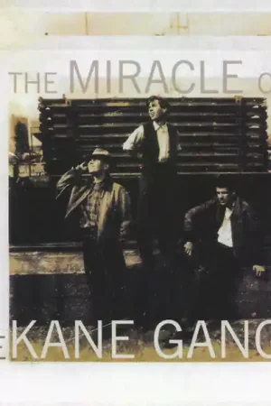 The Kane Gang : The Miracle Of The Kane Gang 2xCD, Comp (VG+ / VG+) - Dig Vinyl Warranty Included