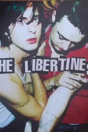 Same Day Shipping The Libertines : The Libertines LP, Album, RE (M / M) - Dig Vinyl