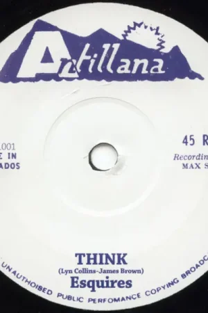 Worldwide Shipping Esquires* / Malcolm's Locks : Think / Get Up Stand Up 7", Unofficial (VG / Generic) - Dig Vinyl