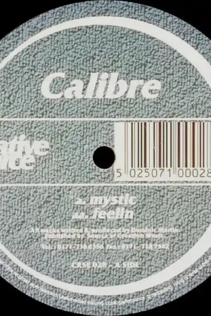 Calibre : Mystic / Feelin 12" (VG / Generic) - Dig Vinyl Bulk Order
