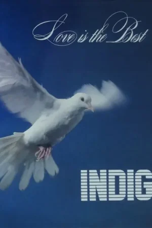Indigo : Love Is The Best LP, Album, Mono (VG+ / VG) - Dig Vinyl Fresh Stock
