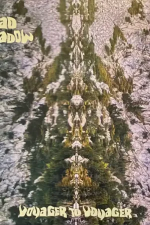 Big Sale Dead Meadow : Voyager To Voyager LP, Album (M / M) - Dig Vinyl