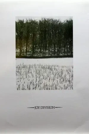 Certified Joy Division : Atmosphere 12", Single, RP, Lin (VG+ / VG+) - Dig Vinyl