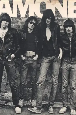 Best Choice Ramones : Ramones LP, Album (VG / VG+) - Dig Vinyl