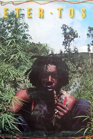 Peter Tosh : Legalize It LP, Album, Gat (VG+ / VG+) - Dig Vinyl New Arrival