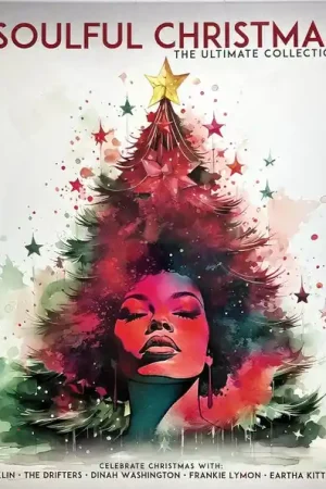 Trusted Brand Various : Soulful Christmas LP, Comp (M / M) - Dig Vinyl