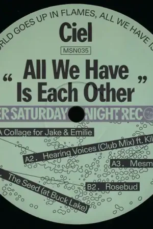 Top Rated Ciel : All We Have Is Each Other 12", EP (M / Generic) - Dig Vinyl