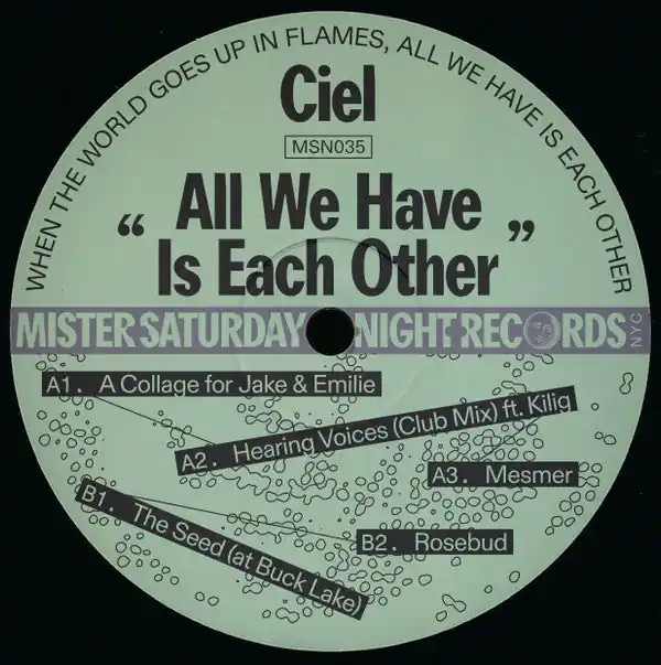 Top Rated Ciel : All We Have Is Each Other 12", EP (M / Generic) - Dig Vinyl