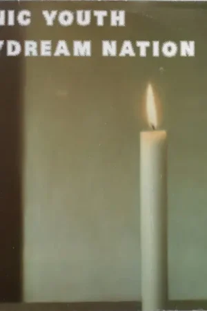 Sonic Youth : Daydream Nation 2xLP, Album (VG+ / VG+) - Dig Vinyl Direct From Manufacturer