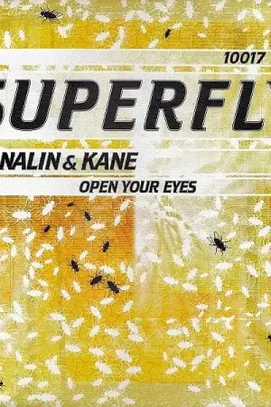 Nalin & Kane : Open Your Eyes 12" (VG / VG+) - Dig Vinyl While Supplies Last