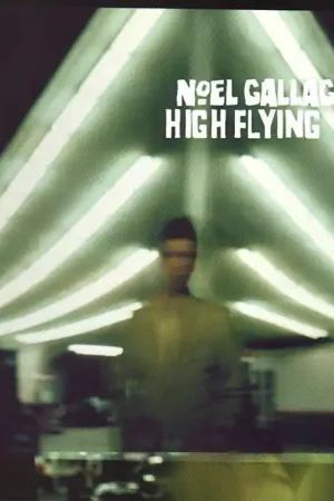 Noel Gallagher's High Flying Birds : Noel Gallagher's High Flying Birds CD, Album (M / M) - Dig Vinyl Popular