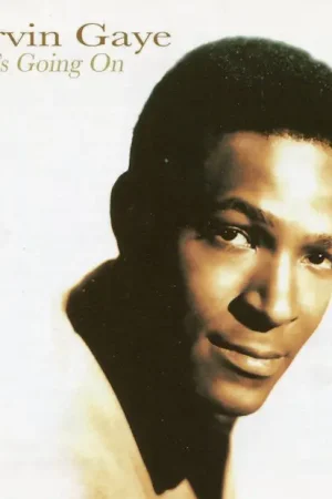 Marvin Gaye : What's Going On CD, Comp (M / M) - Dig Vinyl Flash Sale