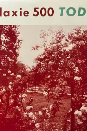 Galaxie 500 : Today LP, Album, RE, RM (M / M) - Dig Vinyl Special Offer