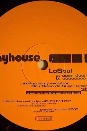 Hot Picks LoSoul : Open Door 12" (VG+ / Generic) - Dig Vinyl