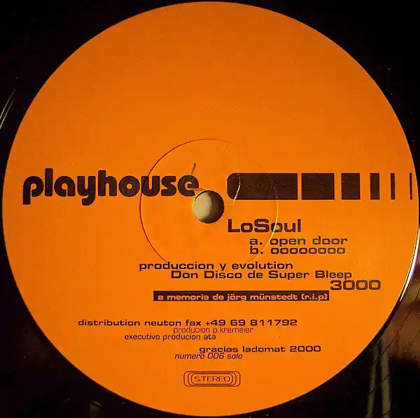 Hot Picks LoSoul : Open Door 12" (VG+ / Generic) - Dig Vinyl