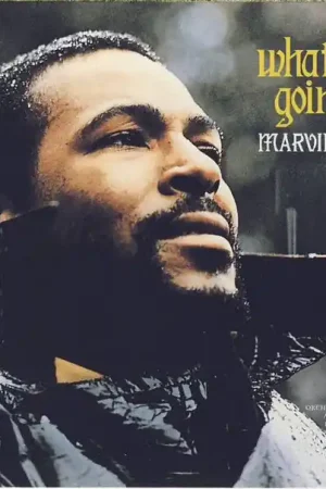 Must Have Marvin Gaye : What's Going On CD, Album, RE, RM, RP, Arv (M / M) - Dig Vinyl