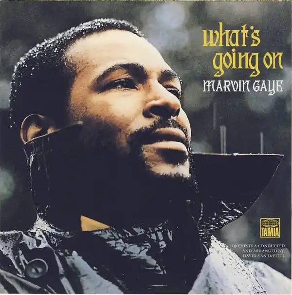 Must Have Marvin Gaye : What's Going On CD, Album, RE, RM, RP, Arv (M / M) - Dig Vinyl