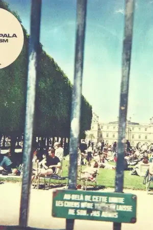 Place Order Tame Impala : Lonerism CD, Album, RP, Dig (M / M) - Dig Vinyl