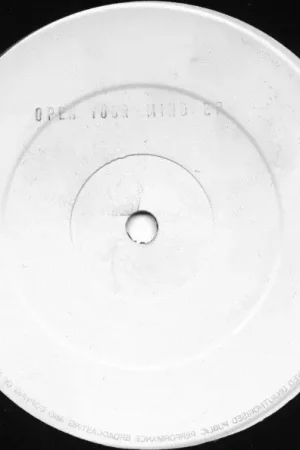Unknown Artist : Open Your Mind EP 12", EP, W/Lbl, Sta (VG / Generic) - Dig Vinyl Today Only