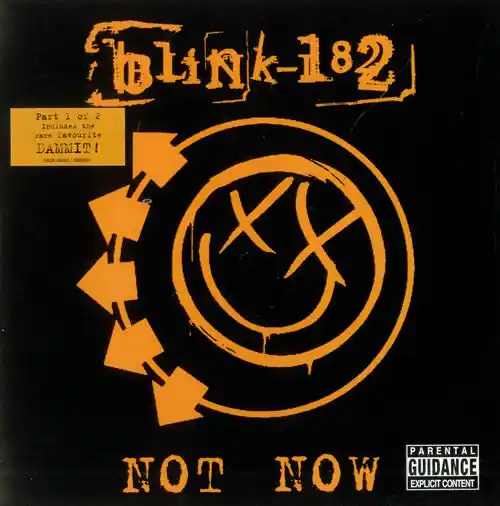 Blink-182 : Not Now - Part 1 7", Par (VG+ / VG) - Dig Vinyl Worldwide Shipping