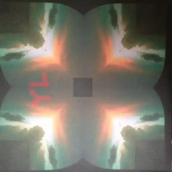 Youth Lagoon : Youth Lagoon 7" (VG+ / VG+) - Dig Vinyl Get Yours