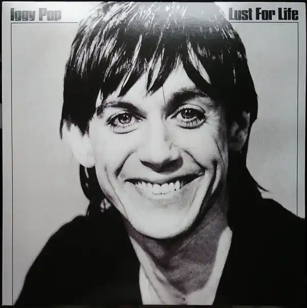 Iggy Pop : Lust For Life LP, Album, RE, RM, 180 (M / M) - Dig Vinyl Shop Now