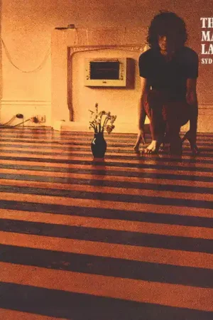 Clearance Syd Barrett : The Madcap Laughs LP, Album, RE, Gat (M / M) - Dig Vinyl