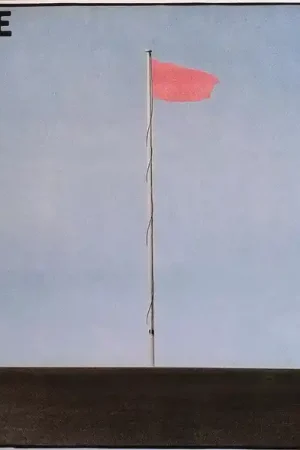 Latest Wire : Pink Flag LP, Album, RE (M / M) - Dig Vinyl