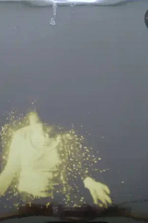 Wolf Alice : My Love Is Cool 2xLP, Album (M / M) - Dig Vinyl Viral