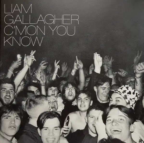 Liam Gallagher : C’mon You Know LP, Album (M / M) - Dig Vinyl Weekend Sale