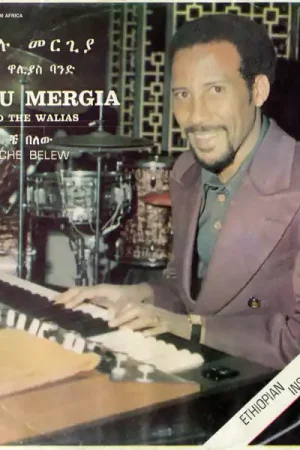 Wholesale Hailu Mergia And The Walias* : Tche Belew LP, Album, RE (M / M) - Dig Vinyl