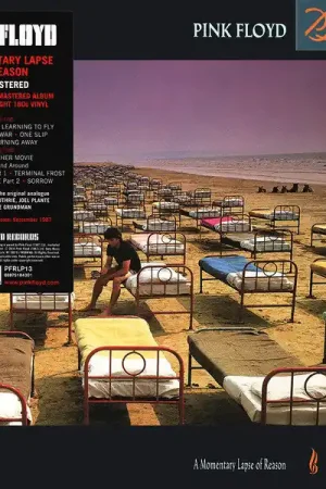 While Supplies Last Pink Floyd : A Momentary Lapse Of Reason LP, Album, RE, RM, Gat (M / M) - Dig Vinyl