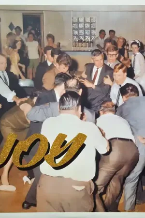 Get Yours Idles : Joy As An Act Of Resistance LP, Album, RE (M / M) - Dig Vinyl