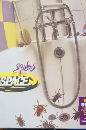 Discount Space (4) : Spiders LP, Album, RE, Pur (M / M) - Dig Vinyl