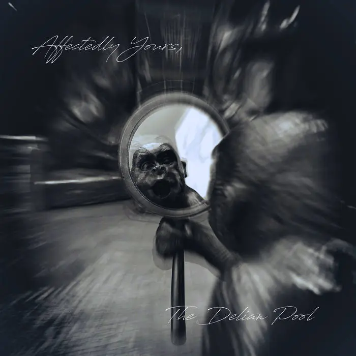 Beau (5) : Twelve Strings To The Beau LP (M / M) - Dig Vinyl Certified
