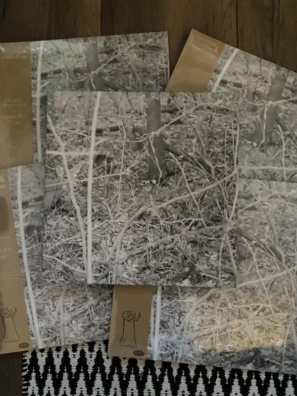 Tongue Depressor - Bones For Time (LP, Album) (M / M) - Dig Vinyl Limited Time