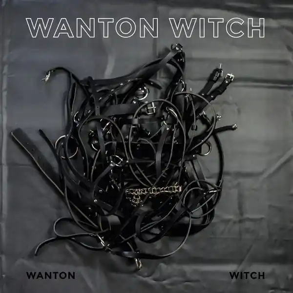 Wanton Witch : Wanton Witch LP, Album (M / M) - Dig Vinyl Place Order