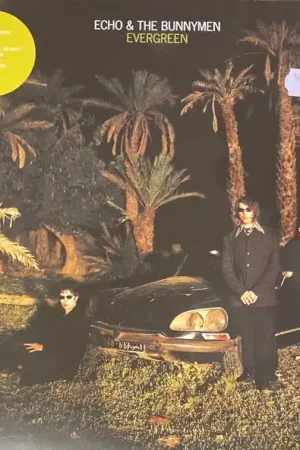 Echo & The Bunnymen : Evergreen LP, Album, Ltd, RE, RM, Whi (M / M) - Dig Vinyl Affordable