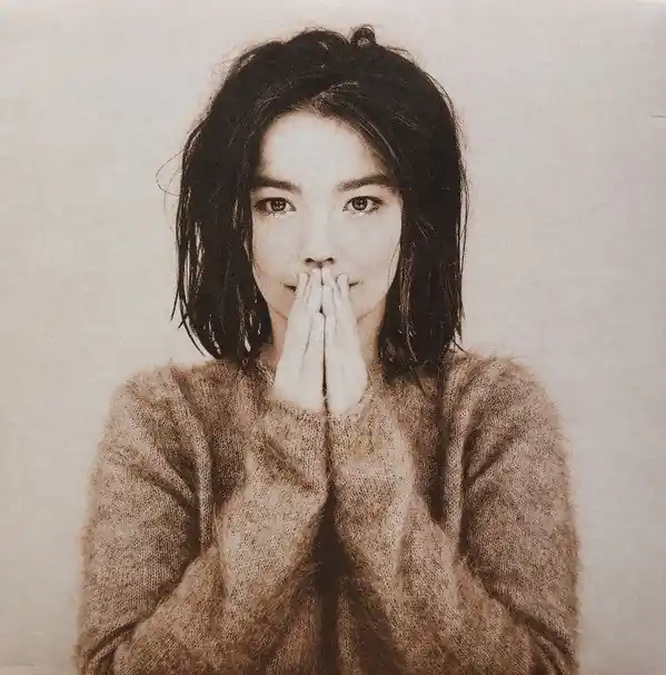 Björk : Debut LP, Album, RE (M / M) - Dig Vinyl Budget